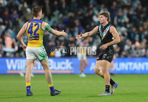 AFL 2025 Round 18 - Port Adelaide v West Coast - A-60553556
