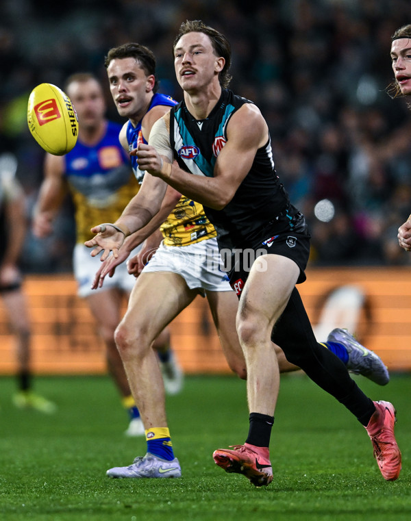 AFL 2025 Round 18 - Port Adelaide v West Coast - A-60553595