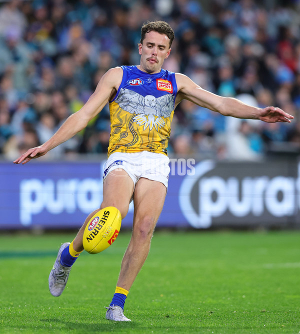 AFL 2025 Round 18 - Port Adelaide v West Coast - A-60553607