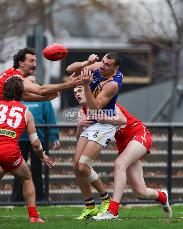 VFL 2025 Round 16 - Northern Bullants v Williamstown - A-60553612