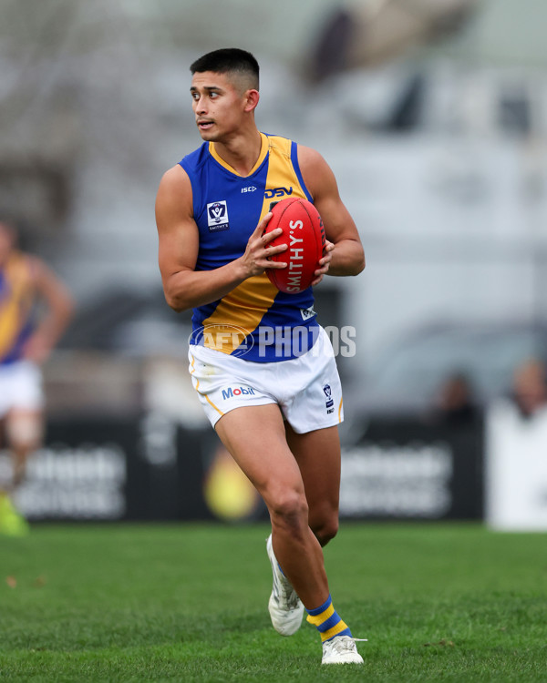 VFL 2025 Round 16 - Northern Bullants v Williamstown - A-60553614