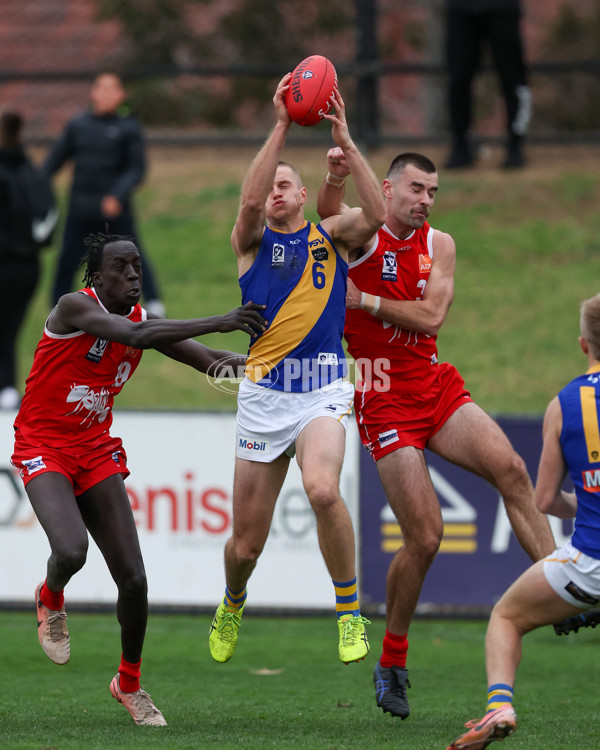 VFL 2025 Round 16 - Northern Bullants v Williamstown - A-60553617