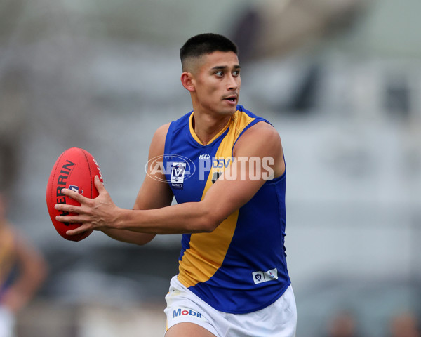 VFL 2025 Round 16 - Northern Bullants v Williamstown - A-60553621