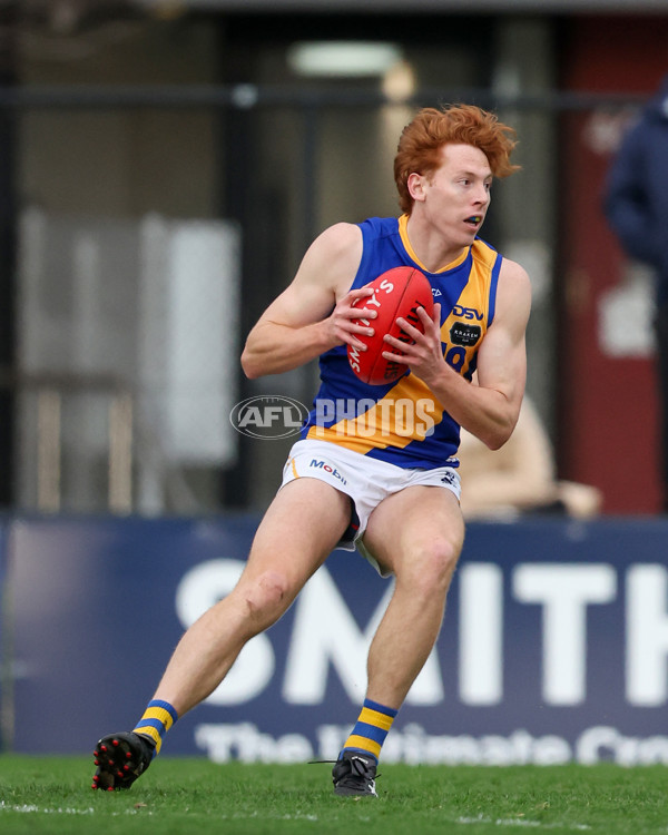 VFL 2025 Round 16 - Northern Bullants v Williamstown - A-60553622