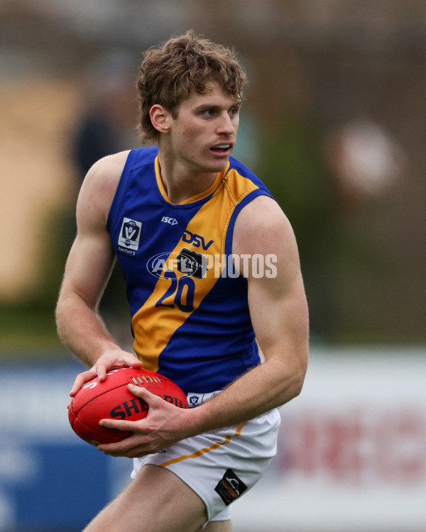 VFL 2025 Round 16 - Northern Bullants v Williamstown - A-60553632