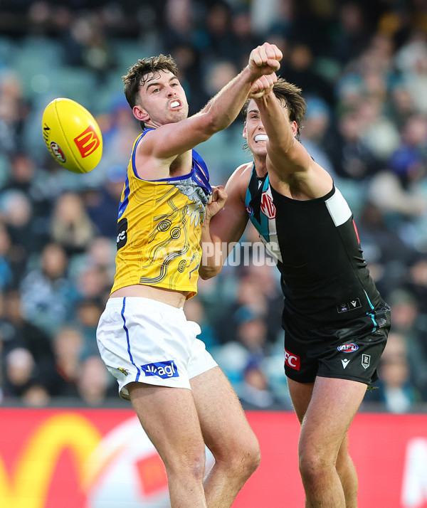 AFL 2025 Round 18 - Port Adelaide v West Coast - A-60553638