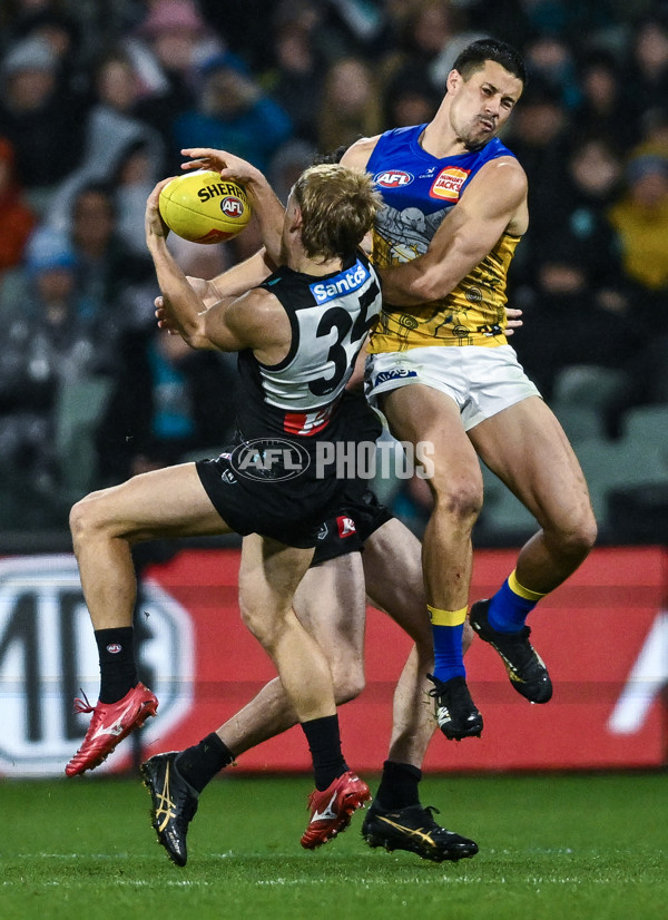 AFL 2025 Round 18 - Port Adelaide v West Coast - A-60553969