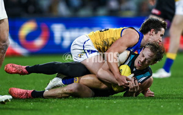 AFL 2025 Round 18 - Port Adelaide v West Coast - A-60553976