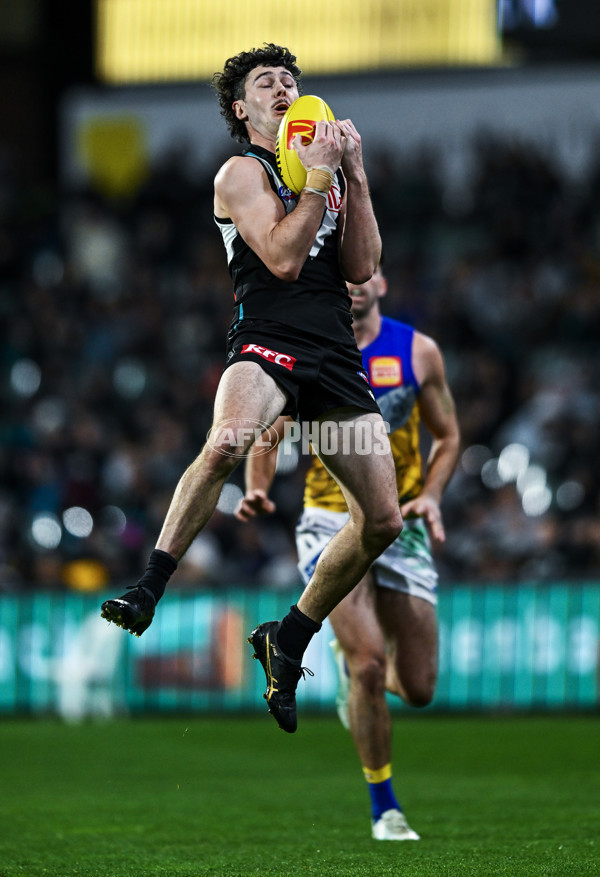 AFL 2025 Round 18 - Port Adelaide v West Coast - A-60553983