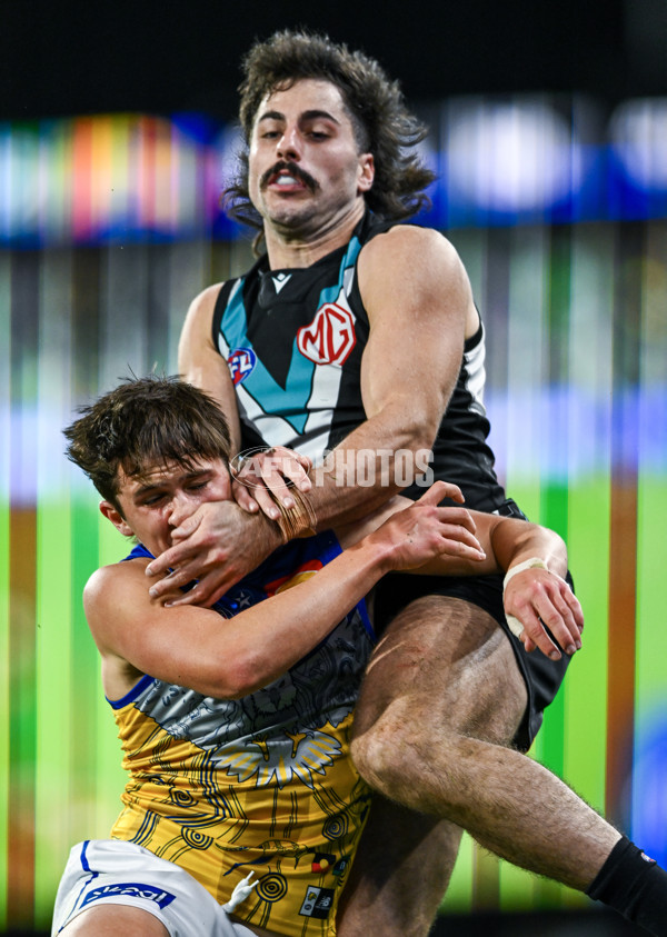 AFL 2025 Round 18 - Port Adelaide v West Coast - A-60553987