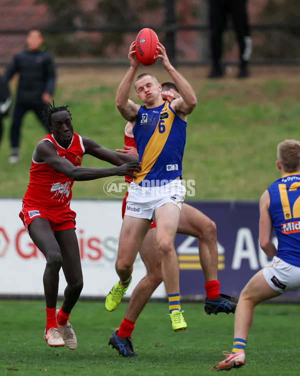 VFL 2025 Round 16 - Northern Bullants v Williamstown - A-60553994