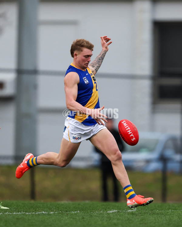 VFL 2025 Round 16 - Northern Bullants v Williamstown - A-60553996