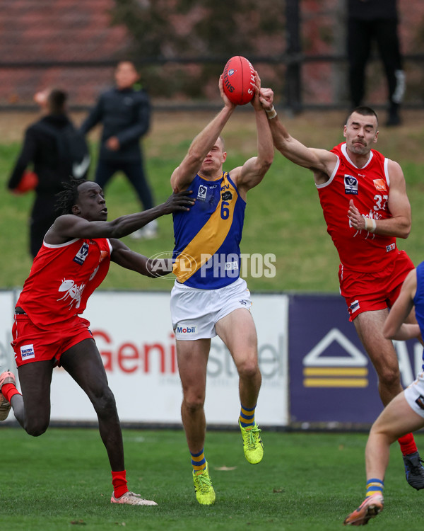 VFL 2025 Round 16 - Northern Bullants v Williamstown - A-60554001