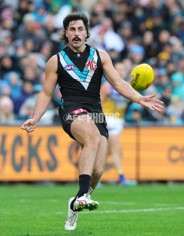 AFL 2025 Round 18 - Port Adelaide v West Coast - A-60554035