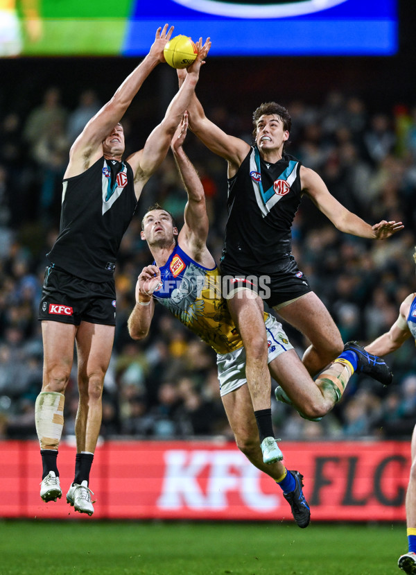 AFL 2025 Round 18 - Port Adelaide v West Coast - A-60555969