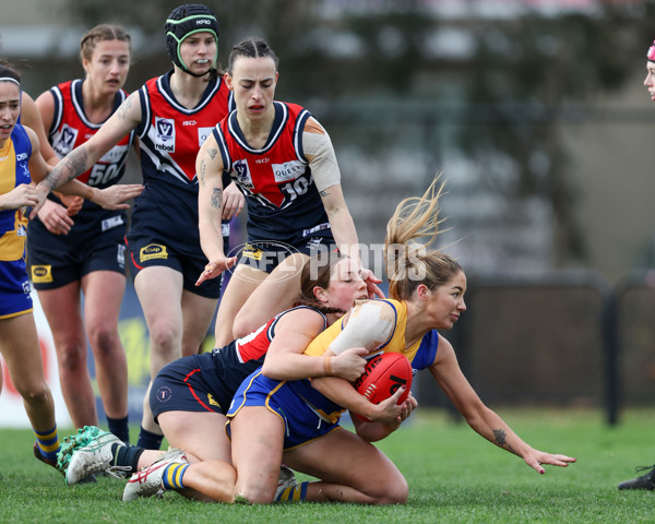 VFLW 2025 Round 12 - Darebin v Williamstown - A-60556064