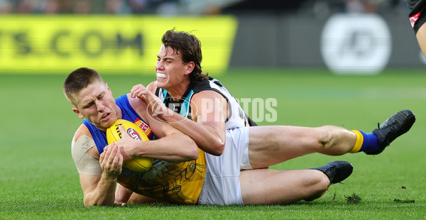 AFL 2025 Round 18 - Port Adelaide v West Coast - A-60556571