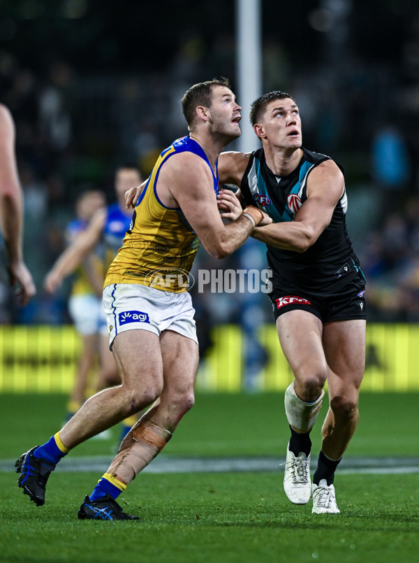 AFL 2025 Round 18 - Port Adelaide v West Coast - A-60556576