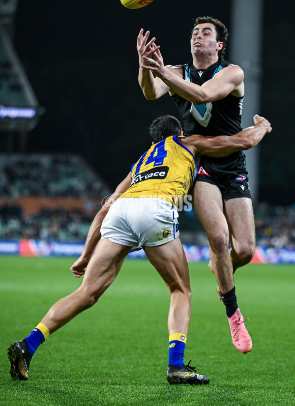 AFL 2025 Round 18 - Port Adelaide v West Coast - A-60556599