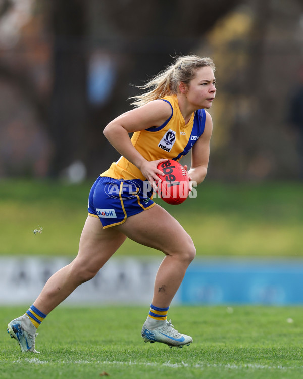 VFLW 2025 Round 12 - Darebin v Williamstown - A-60556657