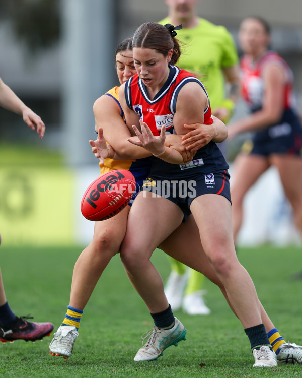 VFLW 2025 Round 12 - Darebin v Williamstown - A-60556658