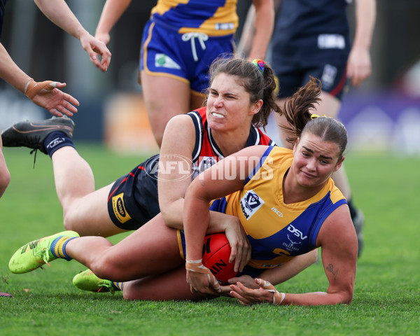 VFLW 2025 Round 12 - Darebin v Williamstown - A-60556662
