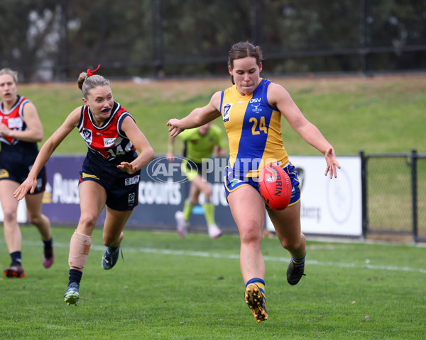 VFLW 2025 Round 12 - Darebin v Williamstown - A-60558803