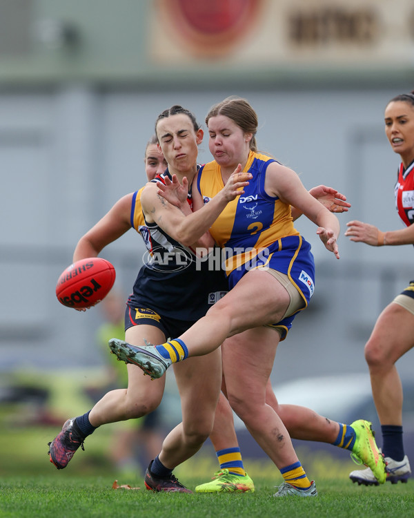 VFLW 2025 Round 12 - Darebin v Williamstown - A-60558804