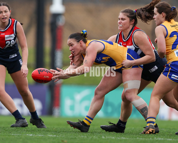 VFLW 2025 Round 12 - Darebin v Williamstown - A-60558810