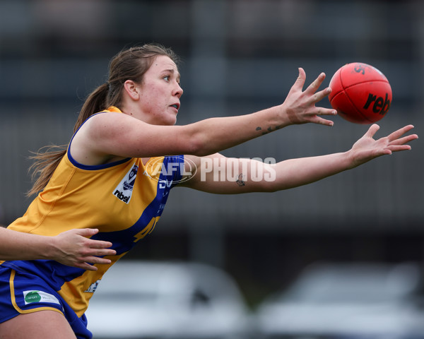 VFLW 2025 Round 12 - Darebin v Williamstown - A-60558839