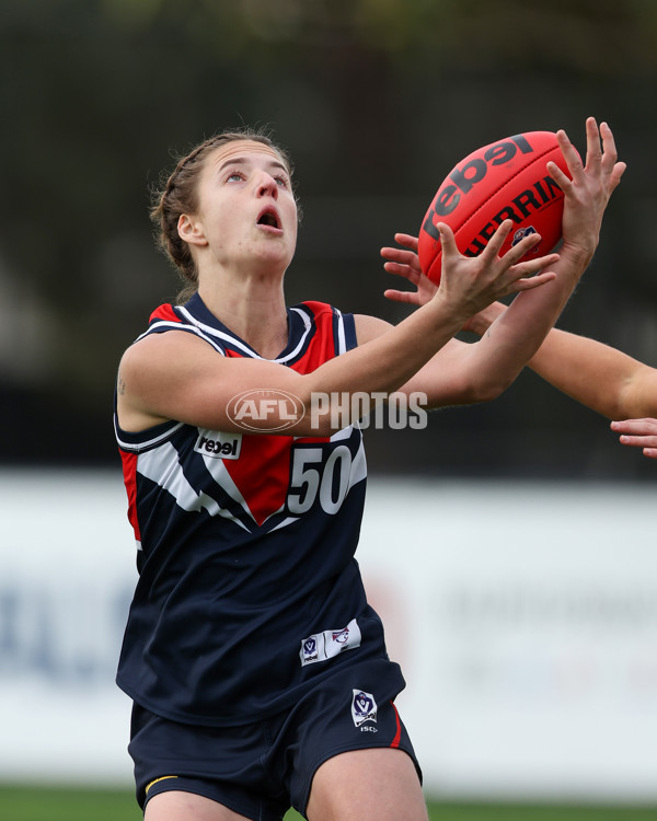 VFLW 2025 Round 12 - Darebin v Williamstown - A-60559207
