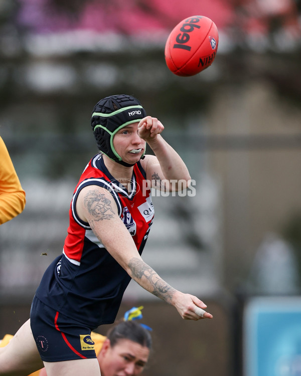 VFLW 2025 Round 12 - Darebin v Williamstown - A-60559232