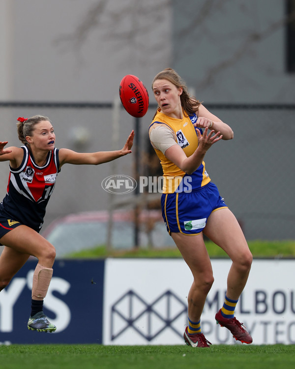VFLW 2025 Round 12 - Darebin v Williamstown - A-60559251