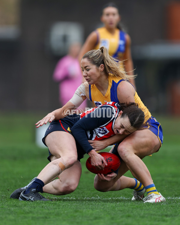 VFLW 2025 Round 12 - Darebin v Williamstown - A-60559253