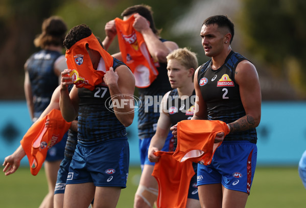 AFL 2025 Training - Western Bulldogs 160725 - A-60585310