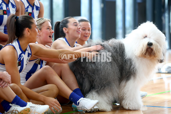 AFLW 2025 Media - North Melbourne Team Photo Day - A-60589838