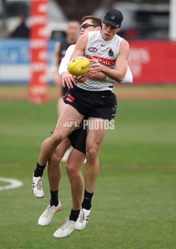 AFL 2025 Training - Collingwood 160725 - A-60590595