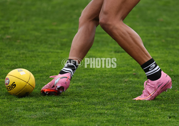 AFL 2025 Training - Collingwood 160725 - A-60590597