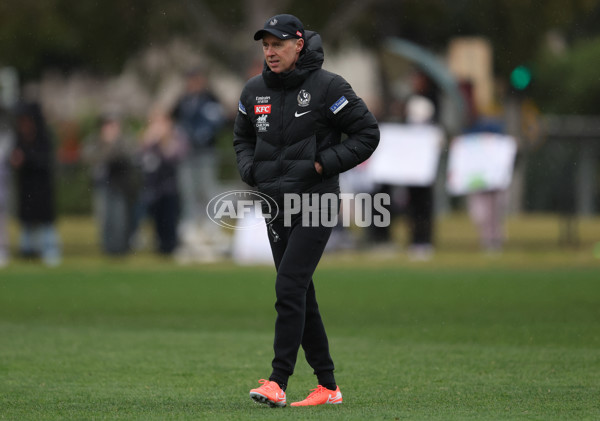 AFL 2025 Training - Collingwood 160725 - A-60590606