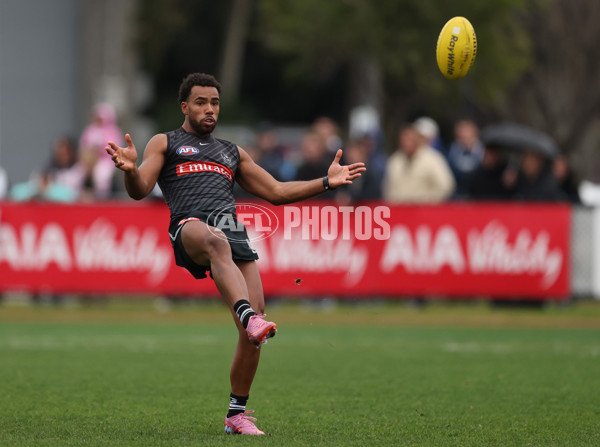 AFL 2025 Training - Collingwood 160725 - A-60592756