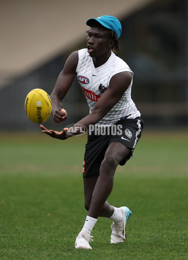 AFL 2025 Training - Collingwood 160725 - A-60593438