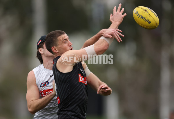 AFL 2025 Training - Collingwood 160725 - A-60593440