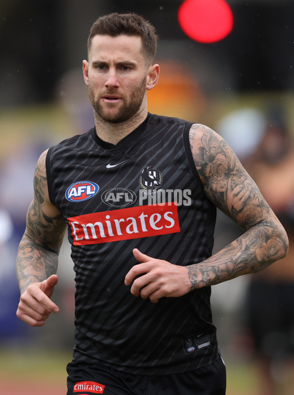 AFL 2025 Training - Collingwood 160725 - A-60593441
