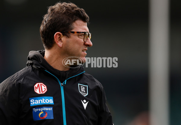 AFL 2025 Round 19 - Hawthorn v Port Adelaide - A-60612942