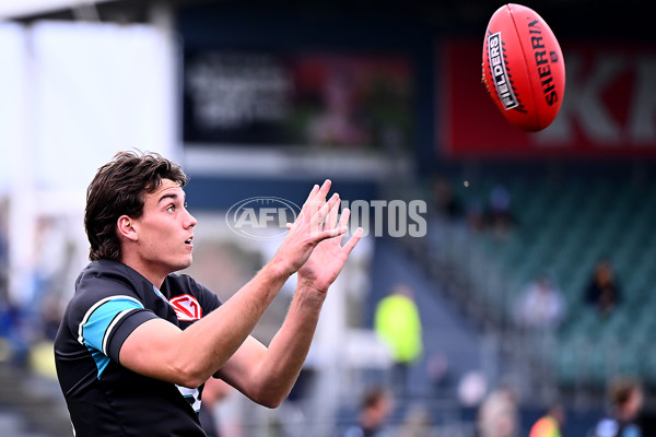 AFL 2025 Round 19 - Hawthorn v Port Adelaide - A-60612952