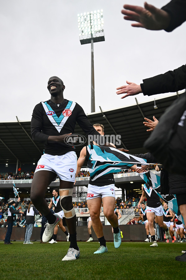 AFL 2025 Round 19 - Hawthorn v Port Adelaide - A-60612972