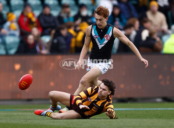 AFL 2025 Round 19 - Hawthorn v Port Adelaide - A-60613015