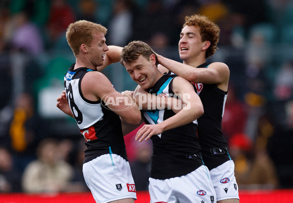 AFL 2025 Round 19 - Hawthorn v Port Adelaide - A-60613016