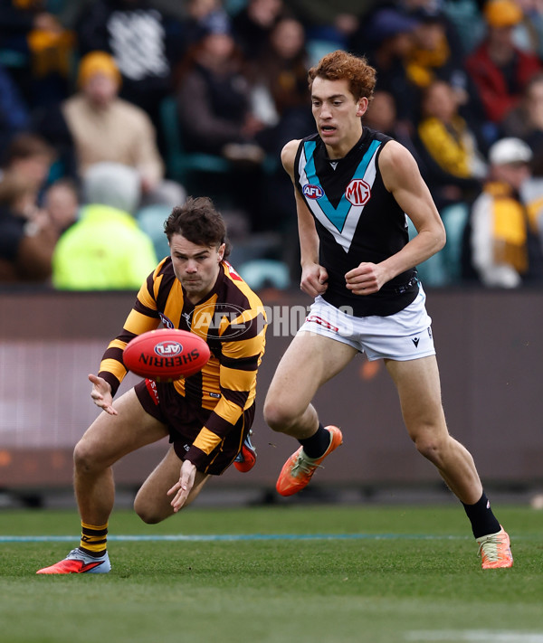 AFL 2025 Round 19 - Hawthorn v Port Adelaide - A-60613017