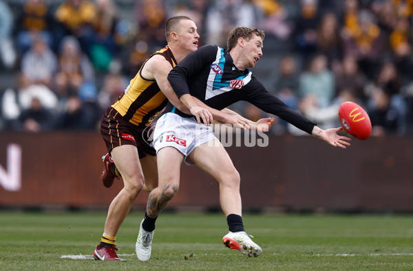 AFL 2025 Round 19 - Hawthorn v Port Adelaide - A-60613022